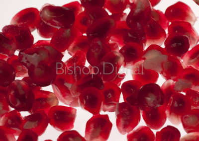 Pomegranate Seeds on White Background