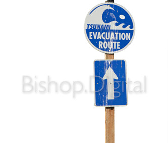 Bird on Evacuation Sign