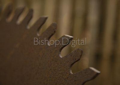 Old Rusted Saw Blade